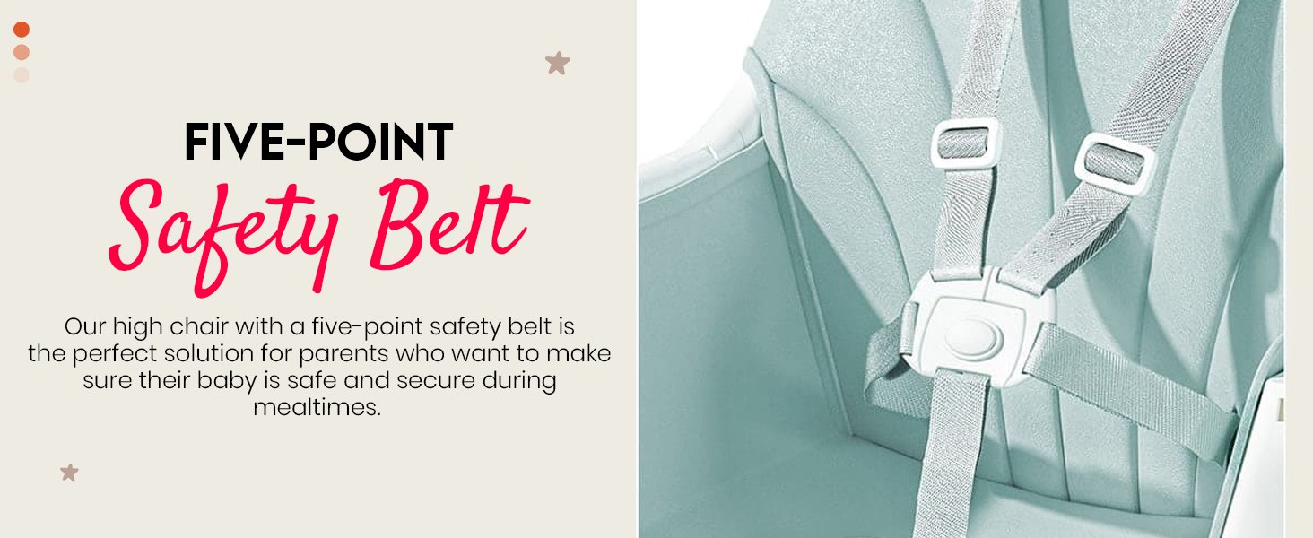 five point safety belt 