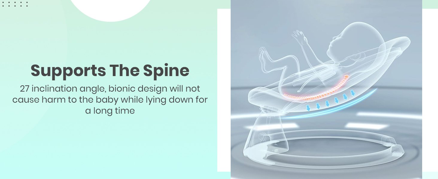 supports the spine