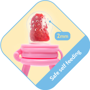 Silicone Baby Fresh Fruit and Food Feeder, Nibbler, Pacifier