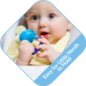 Silicone Baby Fresh Fruit and Food Feeder, Nibbler, Pacifier