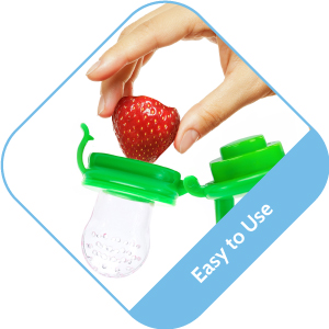 Silicone Baby Fresh Fruit and Food Feeder, Nibbler, Pacifier