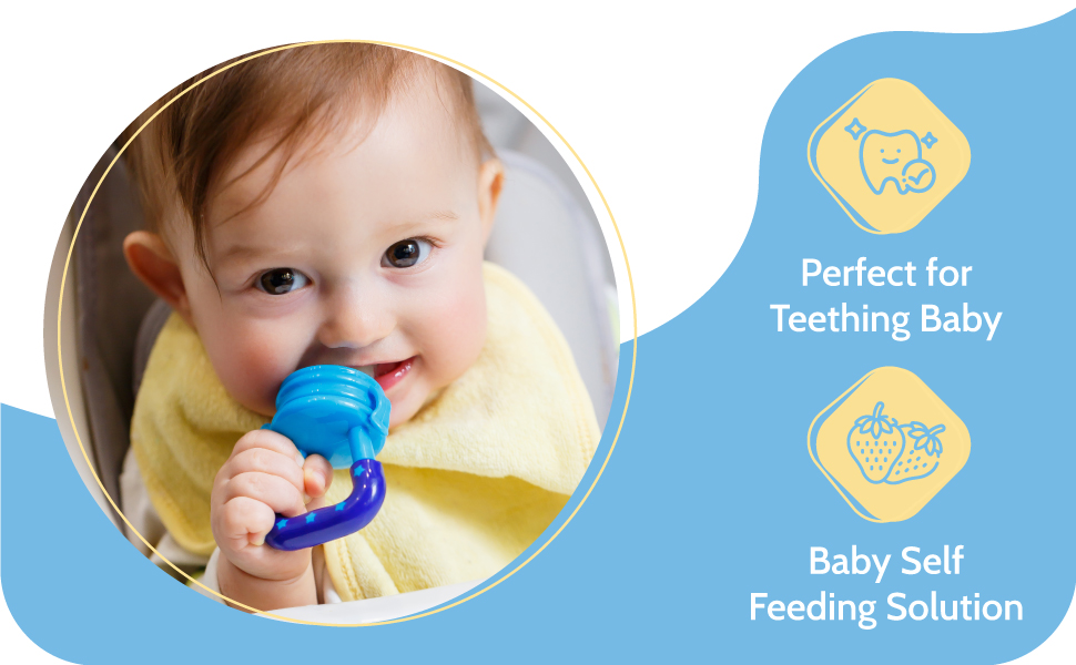 Silicone Baby Fresh Fruit and Food Feeder, Nibbler, Pacifier