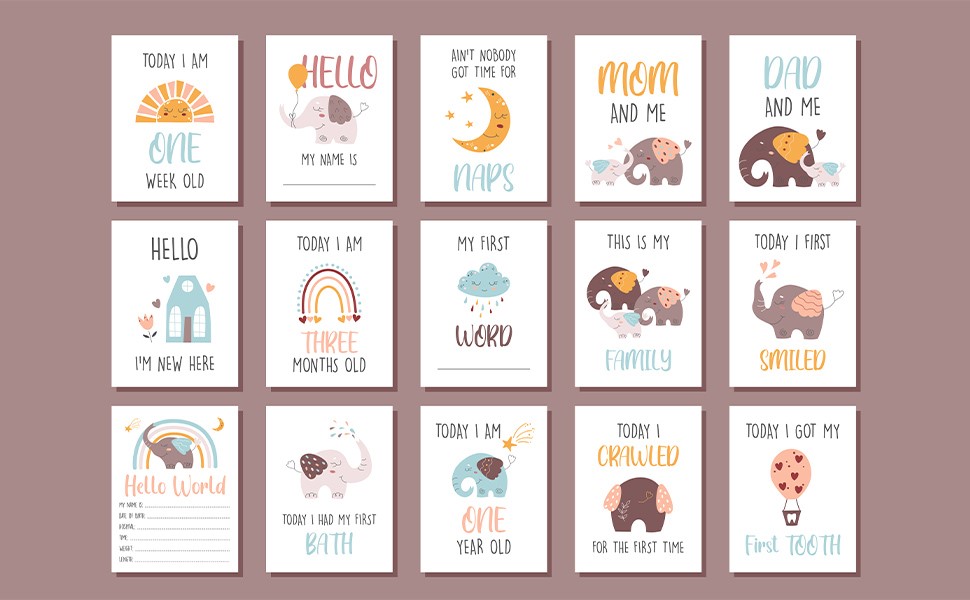 ms cards