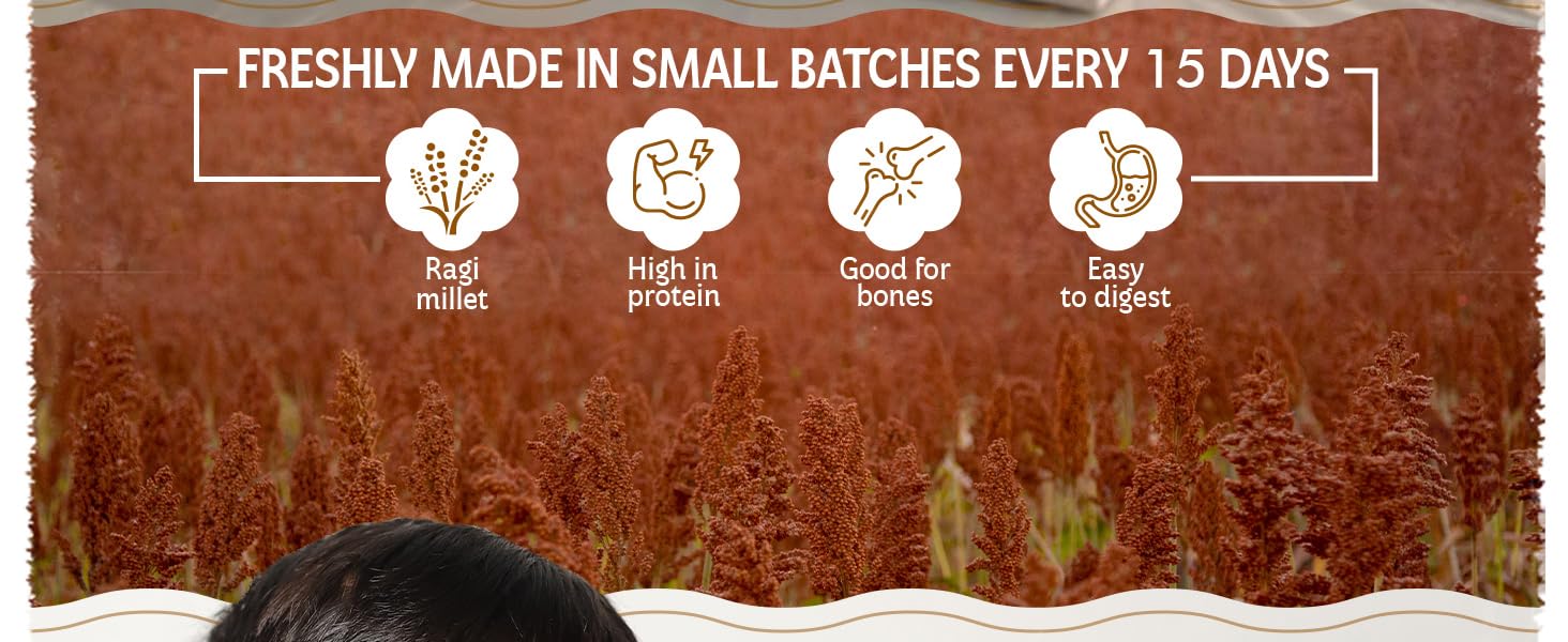 cookies ragi cookies sugar free cookies kids cookies baby cookies millet cookies