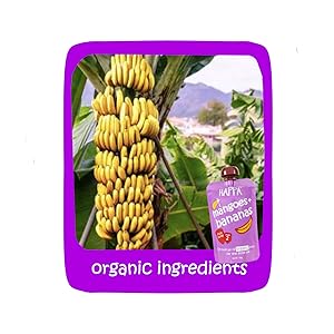 Happa Organic Baby Food, Fruit Puree Apple, Mango and multigrain, Stage 3, 8 Months + , 100 Grams