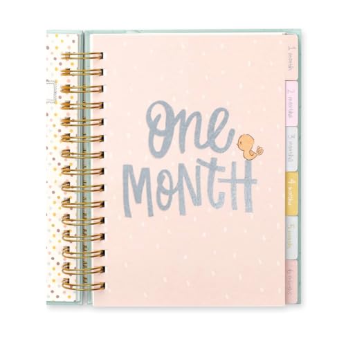 Alicia Souza Baby Record Journal with Milestone Cards | First Year Baby Memory Book with Stickers, Storage Box & Bookmark | Gold Foil Spiral Bound Keepsake Journal for Newborns & Parents - Image 5