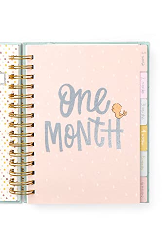 Alicia Souza| Baby Record Journal Set| Includes - Milestone Cards, Bookmark Tassle, Beautiful Storage Box| Record Baby's Birth Story| Store Memories | Space for Monthly Favourites| Letters to your Baby| Pages to Stick Photos| 21X17 Cm| - Image 7