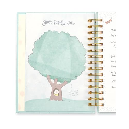 Alicia Souza Baby Record Journal with Milestone Cards | First Year Baby Memory Book with Stickers, Storage Box & Bookmark | Gold Foil Spiral Bound Keepsake Journal for Newborns & Parents - Image 6